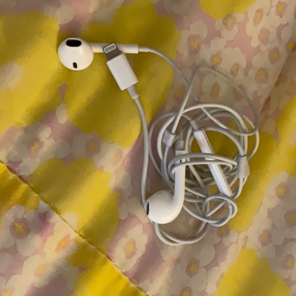 Apple headphones used